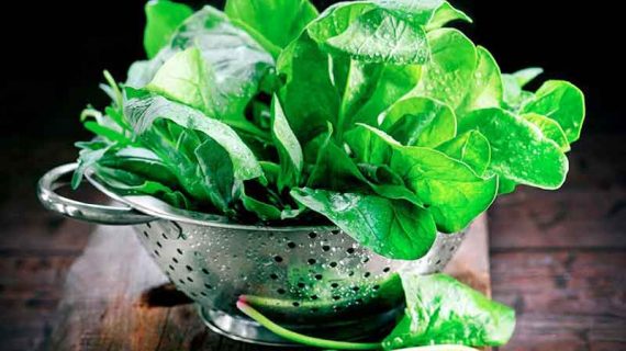 Makanan Larangan Asam Urat Ini Jangan Anda Konsumi, Berbahaya!