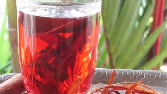 Ini Dia Manfaat Kayu Secang untuk Diet Sehat yang Mujarab