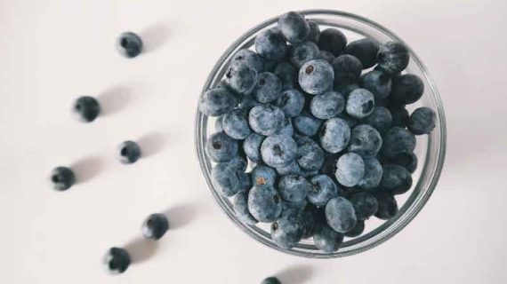 Inilah Menu Makanan Penderita Gagal Ginjal yang Baik dan Sehat