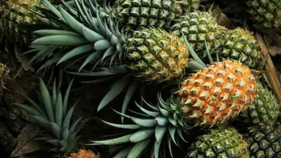 Cara Diet Nanas Yang Benar Bisa Turunkan BB Dengan Cepat