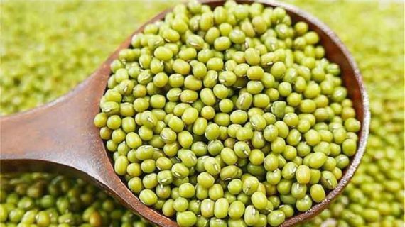 Kacang Hijau untuk Diet Membantu Turunkan Berat Badan