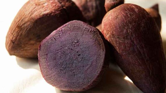 Berapa Kandungan Kalori Ubi Rebus? Yuk Cari Tahu Disini!