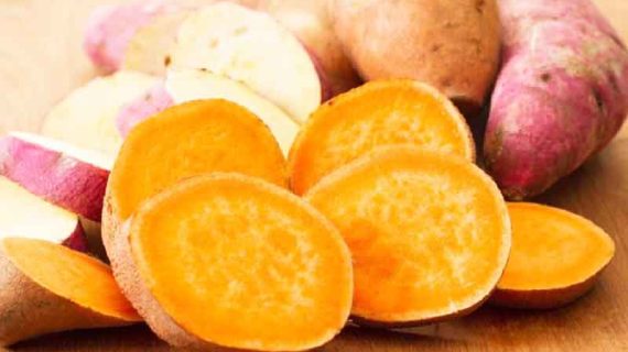 Ubi Untuk Diet Ketahui Manfaat dan Menunya