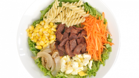 Diet Turkish Beef Salad