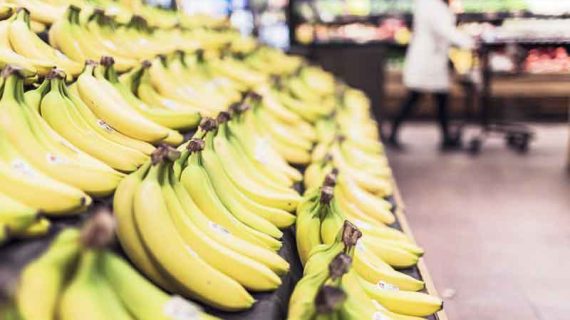 Bahaya Diet Pisang Yang Perlu Dipertimbangkan